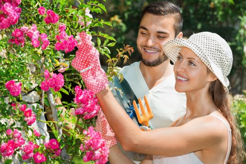 Lawn mowing service in a Norbiton garden