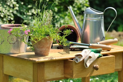 Seasonal garden maintenance tasks in Norbiton