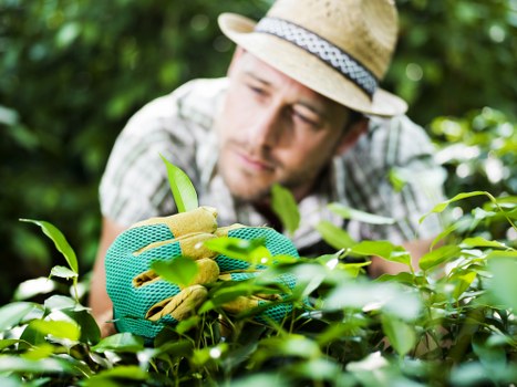 Person using a laptop outdoors to manage lawn care services with accessible interface